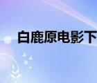 白鹿原電影下載迅雷（白鹿原電影下載）