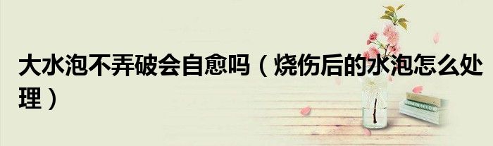 大水泡不弄破會(huì)自愈嗎（燒傷后的水泡怎么處理）