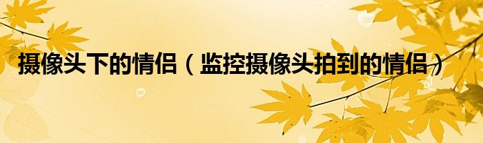 攝像頭下的情侶（監(jiān)控?cái)z像頭拍到的情侶）