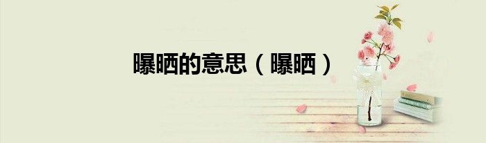 曝曬的意思（曝曬）
