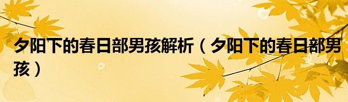 夕陽下的春日部男孩解析（夕陽下的春日部男孩）