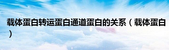 載體蛋白轉(zhuǎn)運蛋白通道蛋白的關(guān)系（載體蛋白）