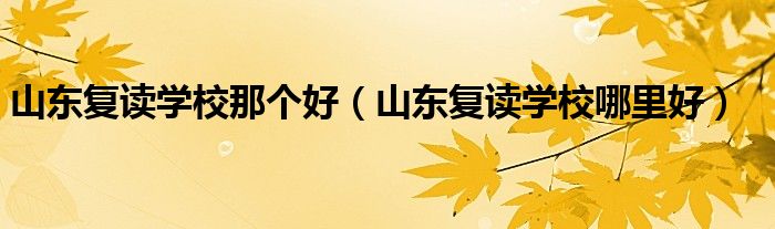 山東復(fù)讀學(xué)校那個好（山東復(fù)讀學(xué)校哪里好）