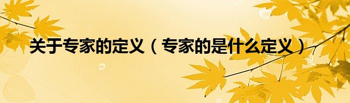 關于專家的定義（專家的是什么定義）