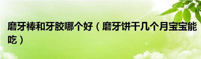 磨牙棒和牙膠哪個(gè)好（磨牙餅干幾個(gè)月寶寶能吃）