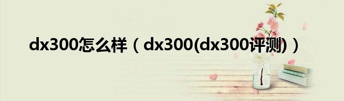 dx300怎么樣（dx300(dx300評測)）