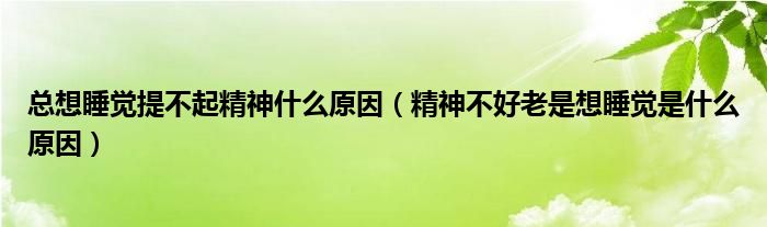 總想睡覺提不起精神什么原因（精神不好老是想睡覺是什么原因）