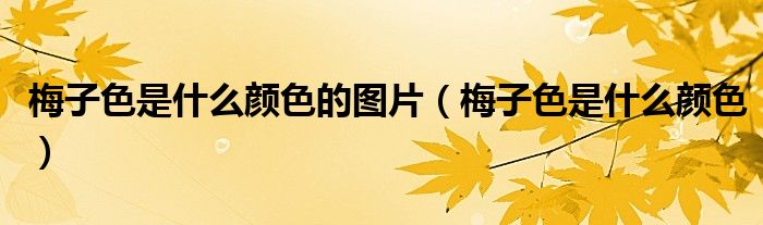 梅子色是什么顏色的圖片（梅子色是什么顏色）