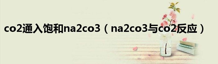 co2通入飽和na2co3（na2co3與co2反應(yīng)）
