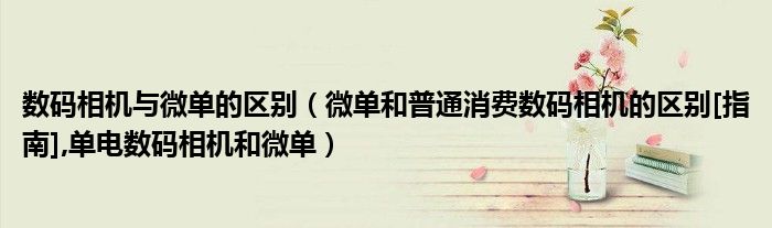 數(shù)碼相機與微單的區(qū)別（微單和普通消費數(shù)碼相機的區(qū)別[指南],單電數(shù)碼相機和微單）
