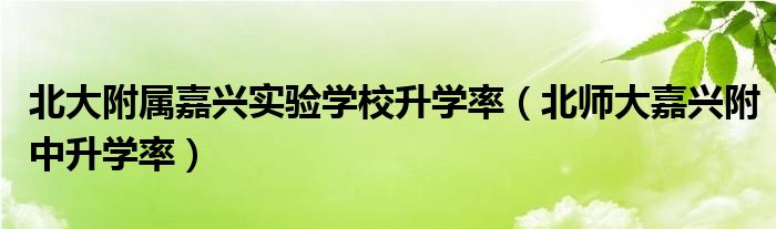 北大附屬嘉興實驗學校升學率（北師大嘉興附中升學率）