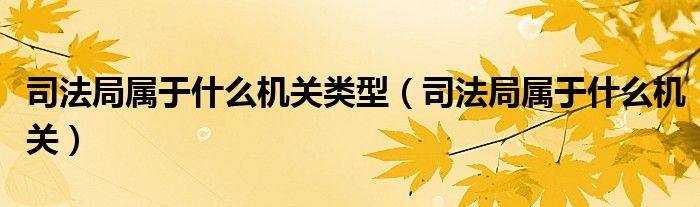 司法局屬于什么機關類型（司法局屬于什么機關）