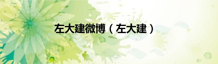 左大建微博（左大建）