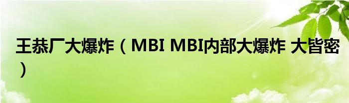 王恭廠大爆炸（MBI MBI內部大爆炸 大皆密）