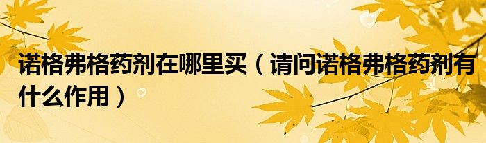 諾格弗格藥劑在哪里買(mǎi)（請(qǐng)問(wèn)諾格弗格藥劑有什么作用）