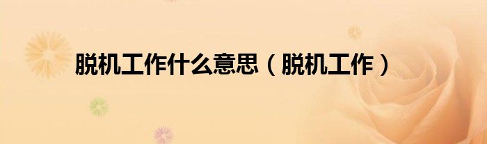 脫機工作什么意思（脫機工作）