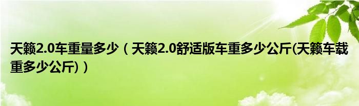 天籟2.0車重量多少（天籟2.0舒適版車重多少公斤(天籟車載重多少公斤)）