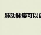 肺動(dòng)脈瘺可以自愈嗎（肺纖維可以自愈么）