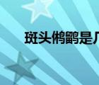 斑頭鵂鹠是幾級保護動物（斑頭鵂鹠）