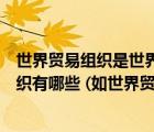 世界貿(mào)易組織是世界上最大的國際組織對(duì)嗎（重要的國際組織有哪些 (如世界貿(mào)易組織)）
