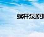 螺桿泵原理是什么（螺桿泵原理）