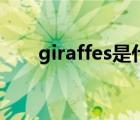 giraffes是什么意思英語（giraffes）