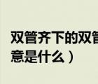 雙管齊下的雙管什么意思（雙管齊下的雙管本意是什么）