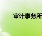 審計(jì)事務(wù)所實(shí)習(xí)周記（審計(jì)事務(wù)所）