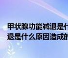 甲狀腺功能減退是什么原因造成的怎么治療（甲狀腺功能減退是什么原因造成的）