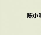 陳小明的視頻（陳小明）