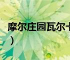 摩爾莊園瓦爾卡火龍蛋（摩爾莊園瓦爾卡火龍）