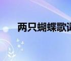 兩只蝴蝶歌詞完整版（兩只蝴蝶歌詞）