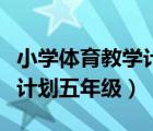 小學(xué)體育教學(xué)計劃五年級下冊（小學(xué)體育教學(xué)計劃五年級）