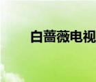 白薔薇電視劇全集完整版（白薔薇）