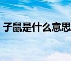 子鼠是什么意思網(wǎng)絡(luò)用語（子鼠是什么意思）