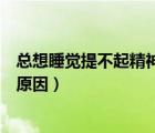 總想睡覺(jué)提不起精神什么原因（精神不好老是想睡覺(jué)是什么原因）