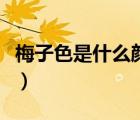 梅子色是什么顏色的圖片（梅子色是什么顏色）