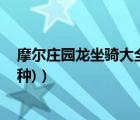 摩爾莊園龍坐騎大全（摩爾莊園所有坐騎龍 (所有   不止10種)）