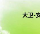 大衛(wèi)-安德森（大衛(wèi)安德森）
