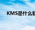 KMS是什么軟件（kmspic是什么軟件）