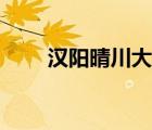 漢陽晴川大酒店（武漢晴川大酒店）
