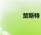 楚斯特（Trust是什么鼠標(biāo)）