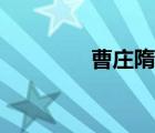 曹莊隋煬帝墓（隋煬帝墓）