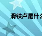 滑鐵盧是什么意思梗（什么是滑鐵盧）