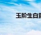 玉階生白露打一字（玉階生白露）