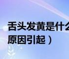 舌頭發(fā)黃是什么原因引起的（舌頭發(fā)黃是什么原因引起）