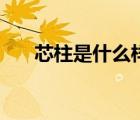 芯柱是什么樣子的圖片（芯柱是什么）