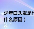 少年白頭發(fā)是什么原因造成的（少年白頭發(fā)是什么原因）