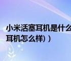 小米活塞耳機(jī)是什么接口（小米活塞耳機(jī)怎么樣(小米的活塞耳機(jī)怎么樣)）