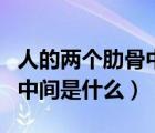 人的兩個肋骨中間是什么位置（人的兩個肋骨中間是什么）